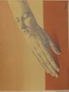 XX siecle Nr. 22